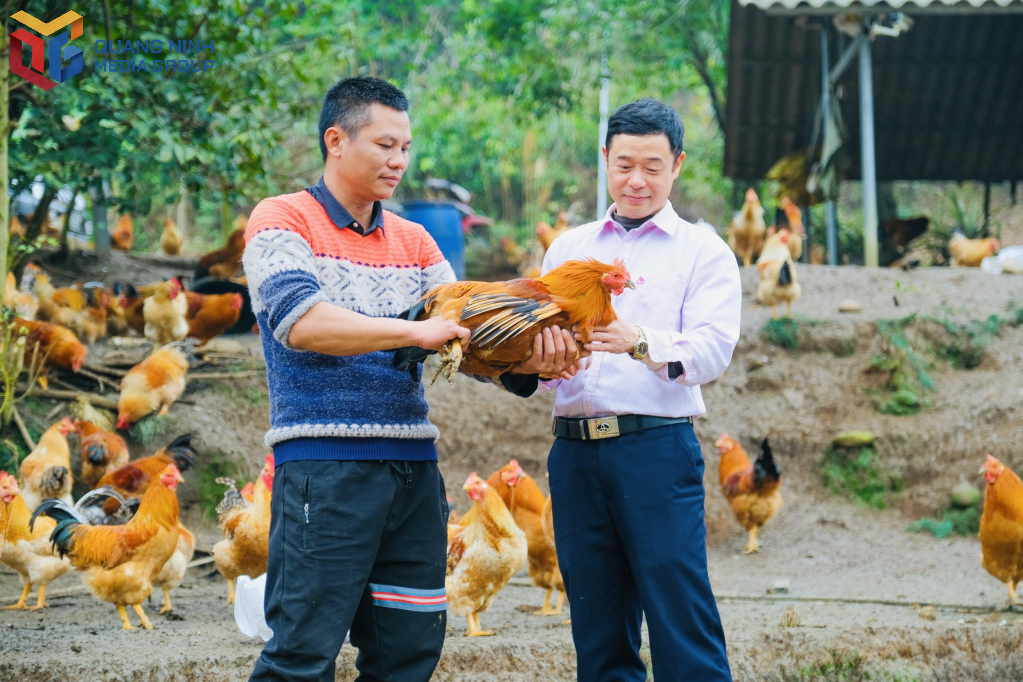 Cán bộ Phòng Giao dịch Ngân hàng Chính sách xã hội huyện Tiên Yên kiểm tra công tác sử dụng vốn vay tín dụng chính sách trong nhân dân.