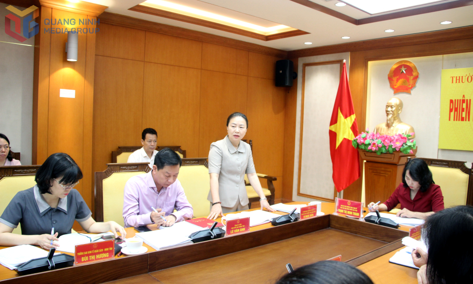 Đồng chí Vi Ngọc Bích, Phó Chủ tịch Thường trực HĐND tỉnh, phát biểu tại hội nghị.