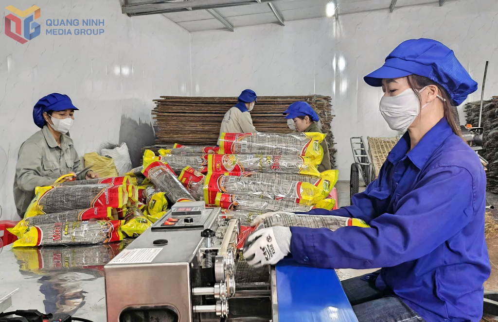 Đóng gói các sản phẩm miến dong tại Công ty CP và Thương mại Dịch vụ Bình Liêu.