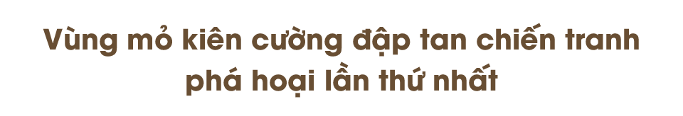 Ảnh trong văn bản