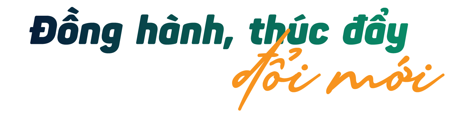 Ảnh trong văn bản