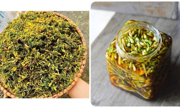 6 tác dụng của hoa đu đủ đực với sức khoẻ