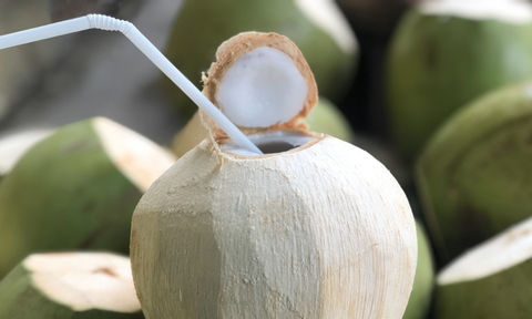 Nghỉ lễ đi chơi vùng nắng nóng, có nên uống nước dừa thay nước lọc?