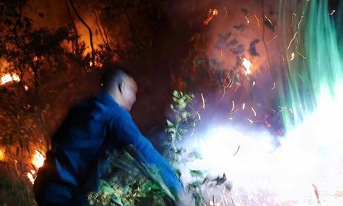 Cháy rừng thông ba lá ở Lâm Đồng