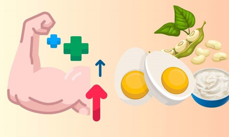 Bí quyết bổ sung protein đúng cách cho từng độ tuổi