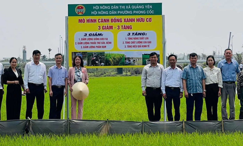 Nông dân tích cực tham gia bảo vệ môi trường