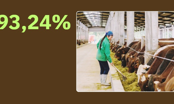 93,24%  - là tỷ lệ chất thải chăn nuôi trên địa bàn tỉnh được thu gom và xử lý