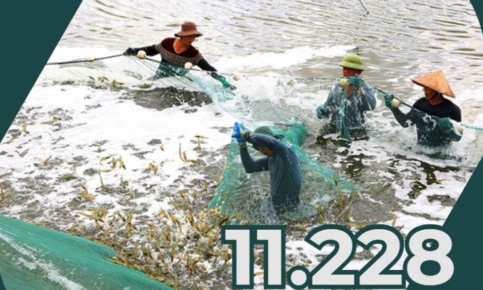 11.228 - là tổng số cơ sở nuôi trồng thủy sản trên địa bàn tỉnh hiện nay