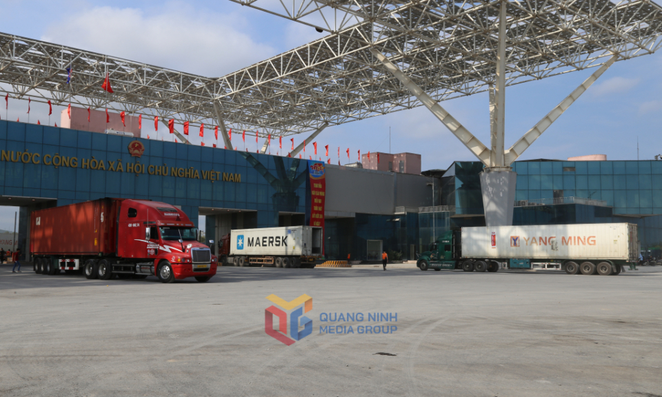 TP Móng Cái: Nhiều giải pháp thu ngân sách từ xuất, nhập khẩu