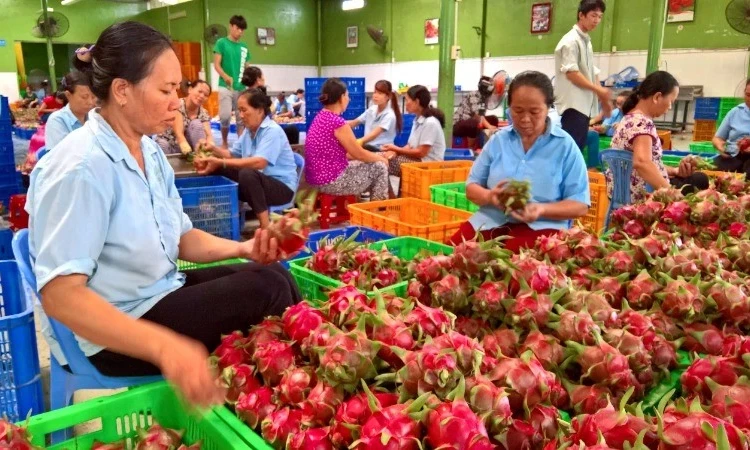 Bảo đảm sản xuất, tiêu thụ, xuất khẩu nông lâm thủy sản trong bối cảnh biến động thương mại toàn cầu