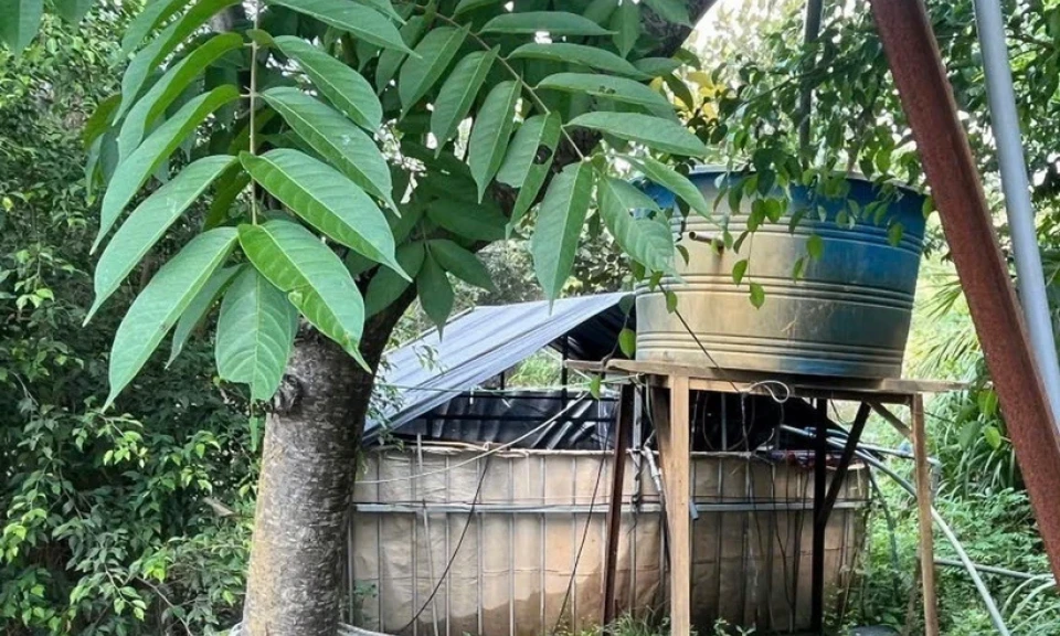 Đắk Nông: Phát hiện hai người tử vong trong trang trại nuôi vịt 