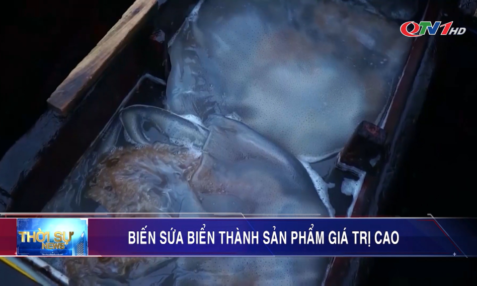 Biến sứa biển thành sản phẩm giá trị cao