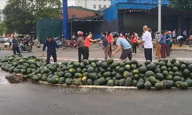 'Giải cứu' hàng tấn dưa hấu cho xe tải bị lật ở Vinh