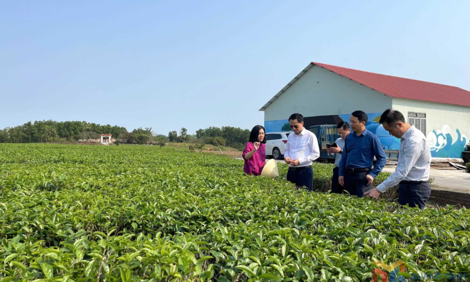 Đảng bộ Sở KH&CN: Mở đường cho những đột phá của nhiệm kỳ mới
