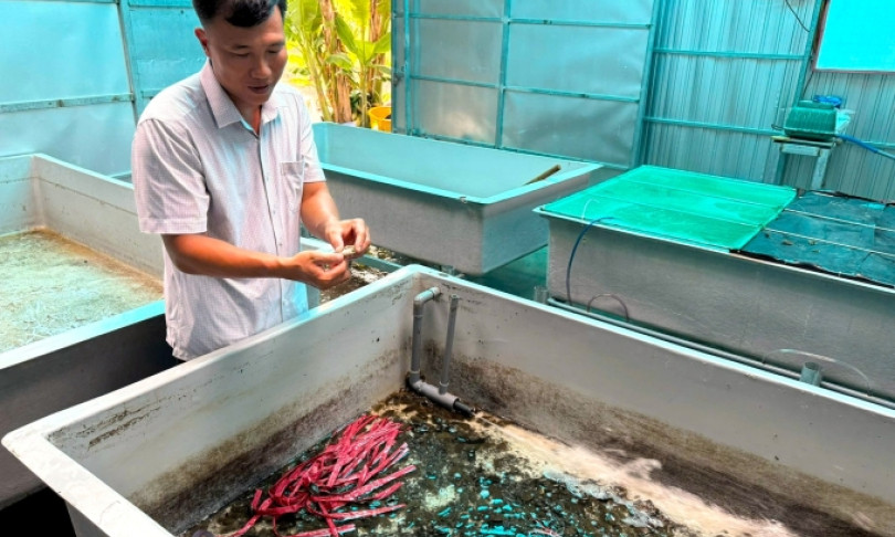 Tiến sĩ mê 'vỗ béo' cua giống Cà Mau