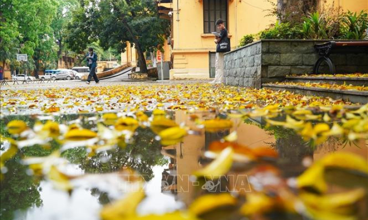Có một Hà Nội đẹp dịu dàng mùa lá rụng