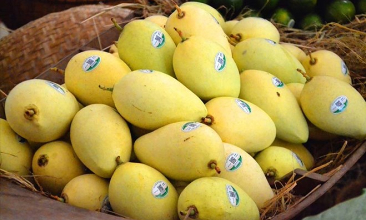 6 lợi ích ít được biết đến của xoài khi ăn vào mùa hè