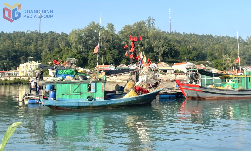 Thực hiện đợt cao điểm tuần tra, kiểm soát hoạt động khai thác thuỷ sản trên biển
