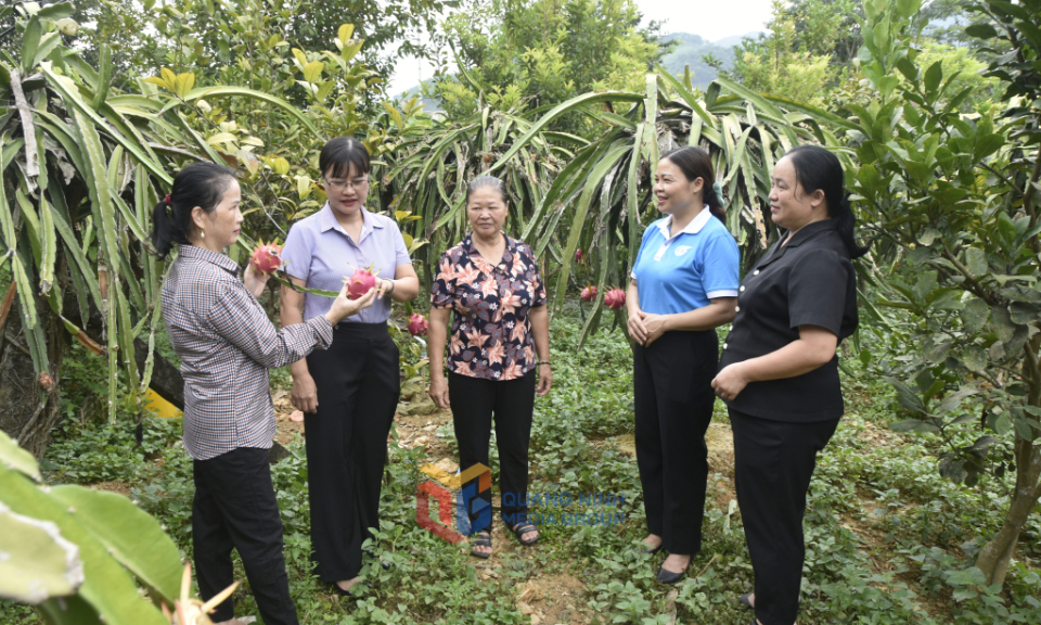 Phát huy vai trò Mặt trận Tổ quốc và các tổ chức chính trị - xã hội thúc đẩy bình đẳng giới