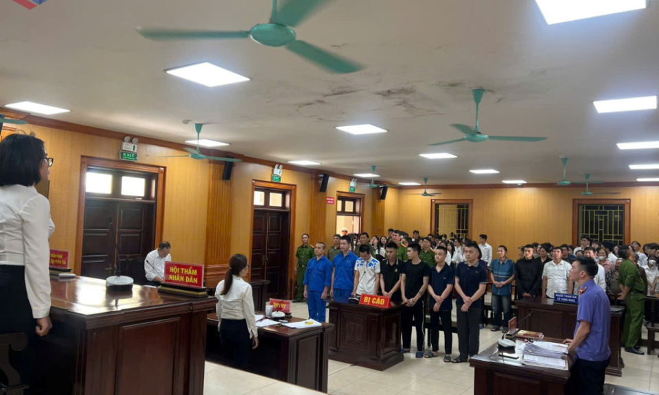 Sử dụng tinh dầu ma túy CBD, 7 thanh, thiếu niên lĩnh án tù