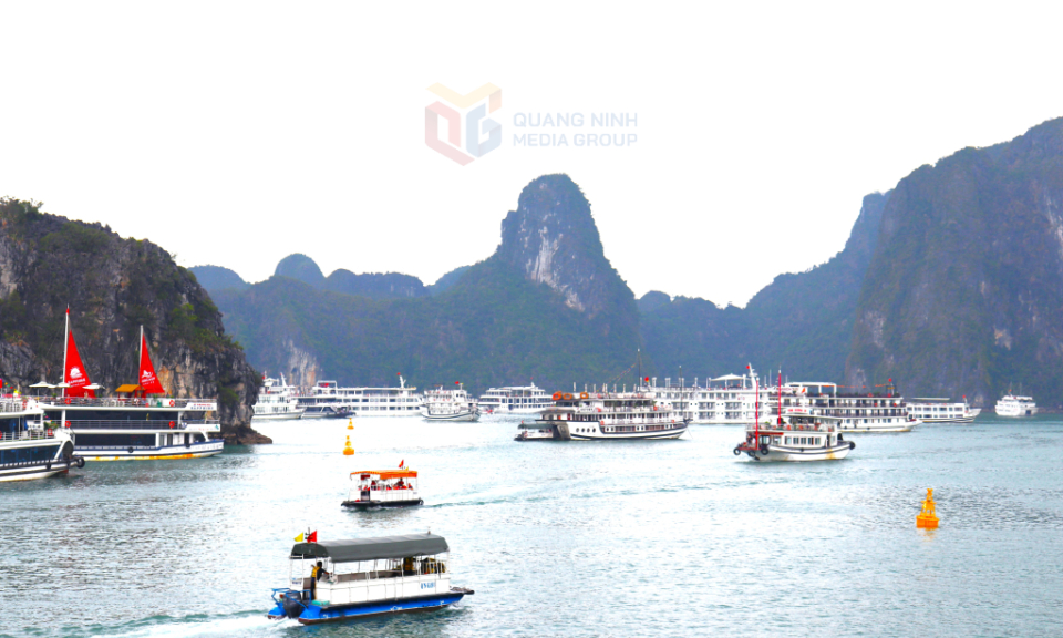 Quảng Ninh quyết tâm thực hiện thắng lợi "mục tiêu kép”