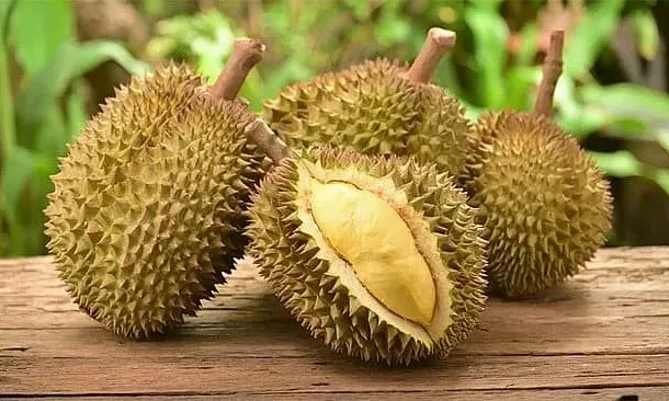 Xuất khẩu sầu riêng: Tăng tốc để giữ thị trường