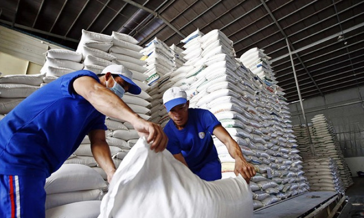 Đề xuất quy định mới về kinh doanh xuất khẩu gạo