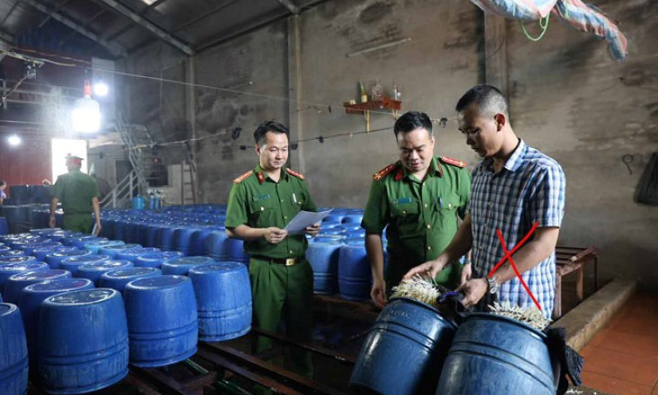 Khởi tố chủ cơ sở sản xuất 60 tấn giá đỗ có chất kích thích