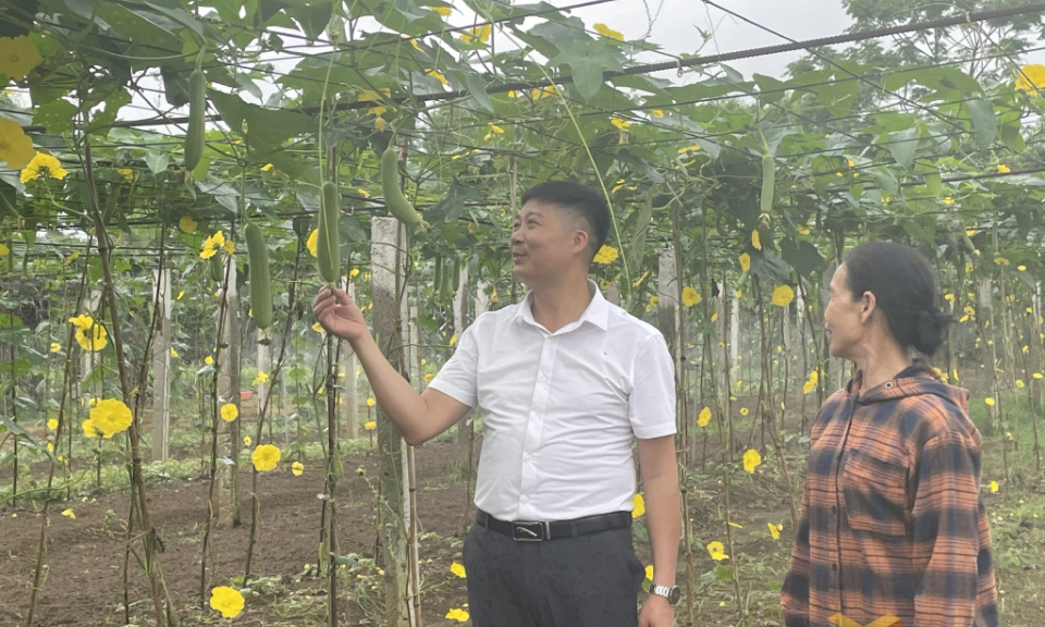 Hội Nông dân Quảng Ninh: Khơi dậy phong trào thi đua từ vai trò của cán bộ và tổ chức Hội