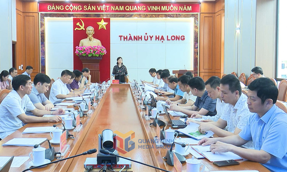 TP Hạ Long: Chuẩn bị kỹ lưỡng cho đại hội đảng bộ cấp xã