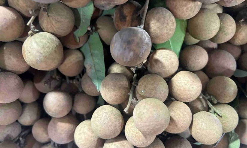 Người bị gan nhiễm mỡ nên hạn chế ăn loại quả quen thuộc trong mùa hè