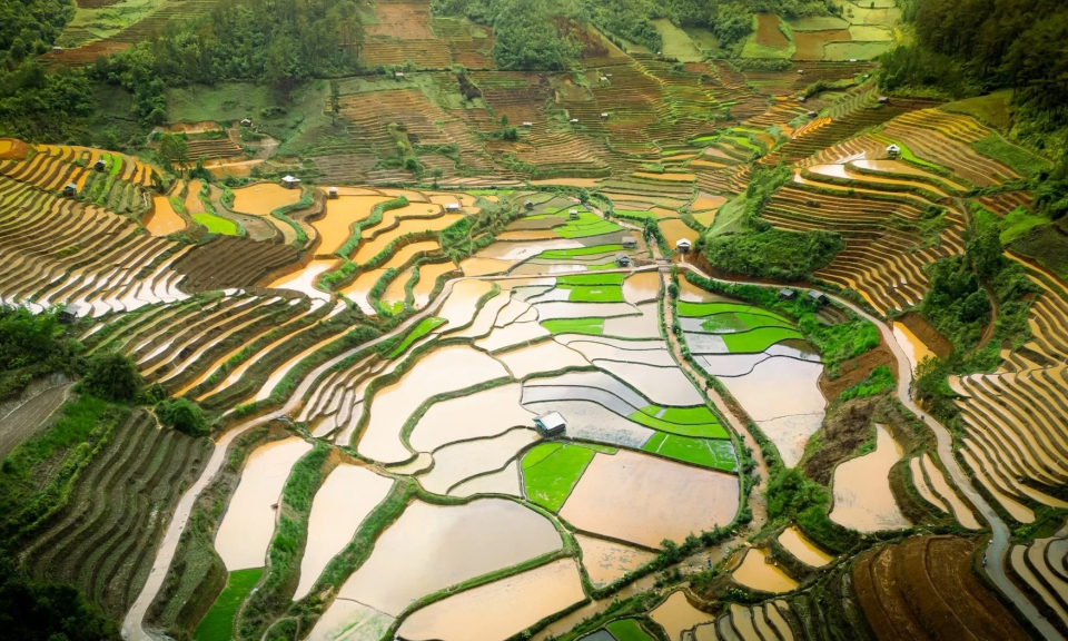 Cảnh xiêu lòng tại Mù Cang Chải mùa nước đổ