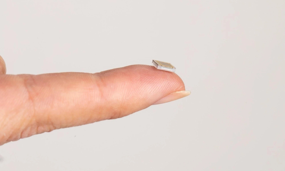 Cuộc chạy đua mang chip vào não người