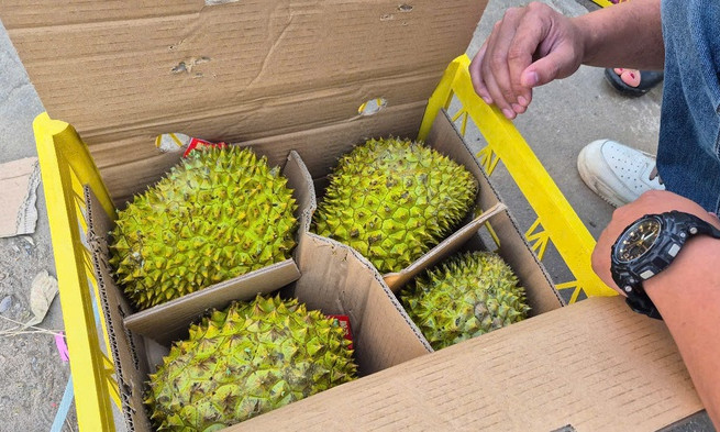 Sầu riêng vừa đón tin vui từ Trung Quốc