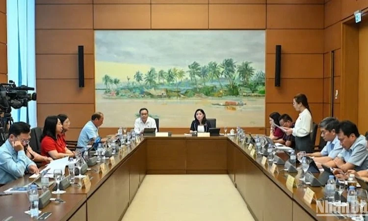 Đại biểu Quốc hội kiến nghị cần có cuộc “đại phẫu” về thể chế
