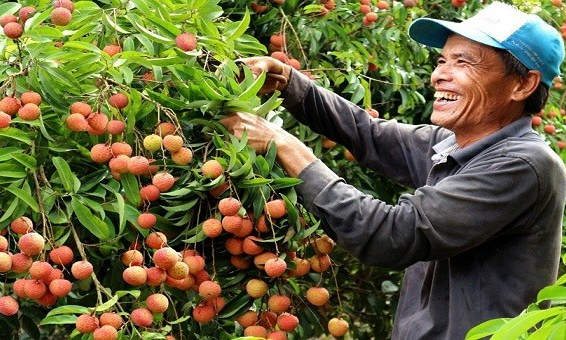 Bản tin vùng Đông Bắc ngày 24/5/2025
