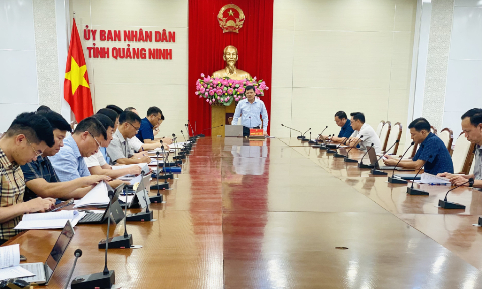 UBND tỉnh nghe tiến độ cấp phép và giao khu vực biển nuôi thủy sản