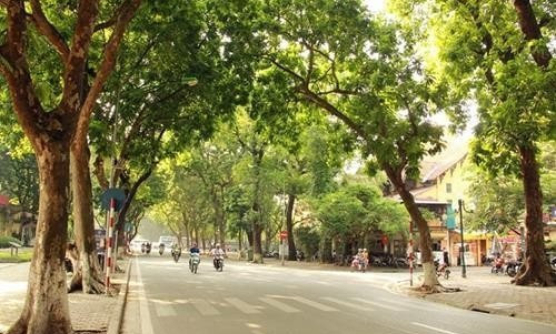 Thời tiết miền Bắc những ngày tới