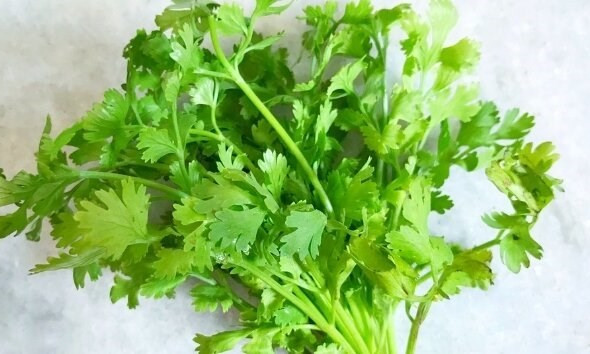 Thải độc gan tự nhiên bằng rau gia vị quen thuộc