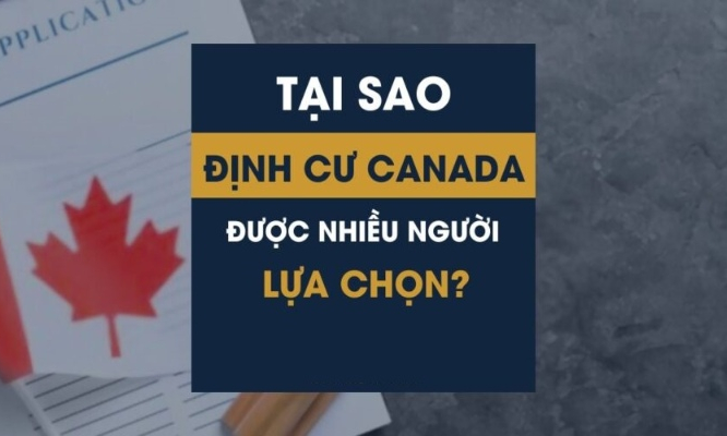 Canada thuộc châu nào? Xu hướng định cư người Việt do đâu?
