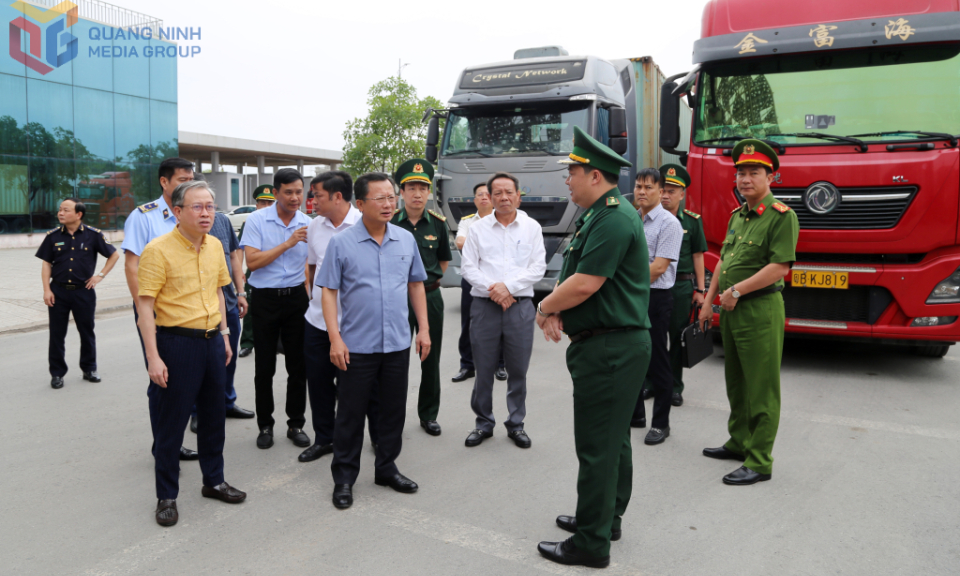 Tổ công tác cao điểm đấu tranh buôn lậu, hàng giả kiểm tra tại thành phố Móng Cái