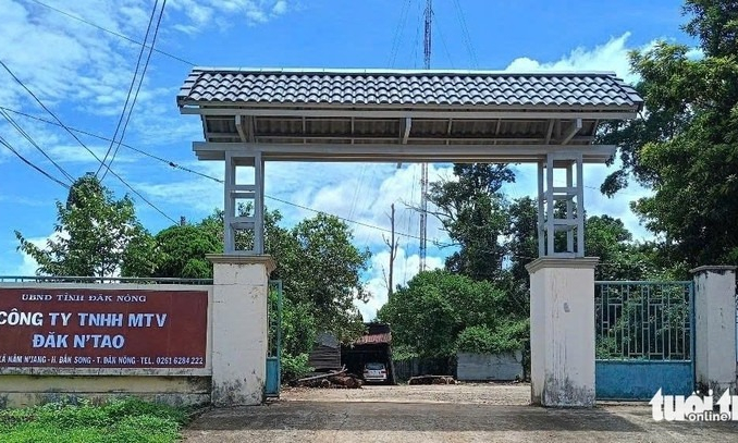 Nhóm phá rừng kêu thêm người đánh gãy xương sườn phó giám đốc công ty lâm nghiệp