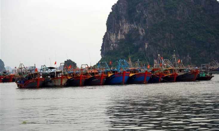 Bản tin vùng Đông Bắc ngày 27/5/2025