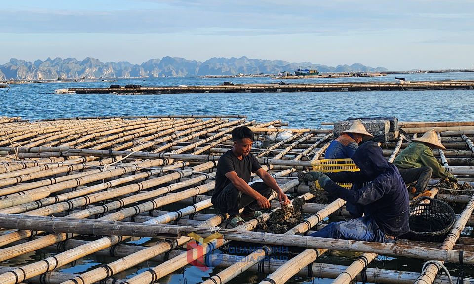 Phát huy hiệu quả Quỹ Hỗ trợ nông dân