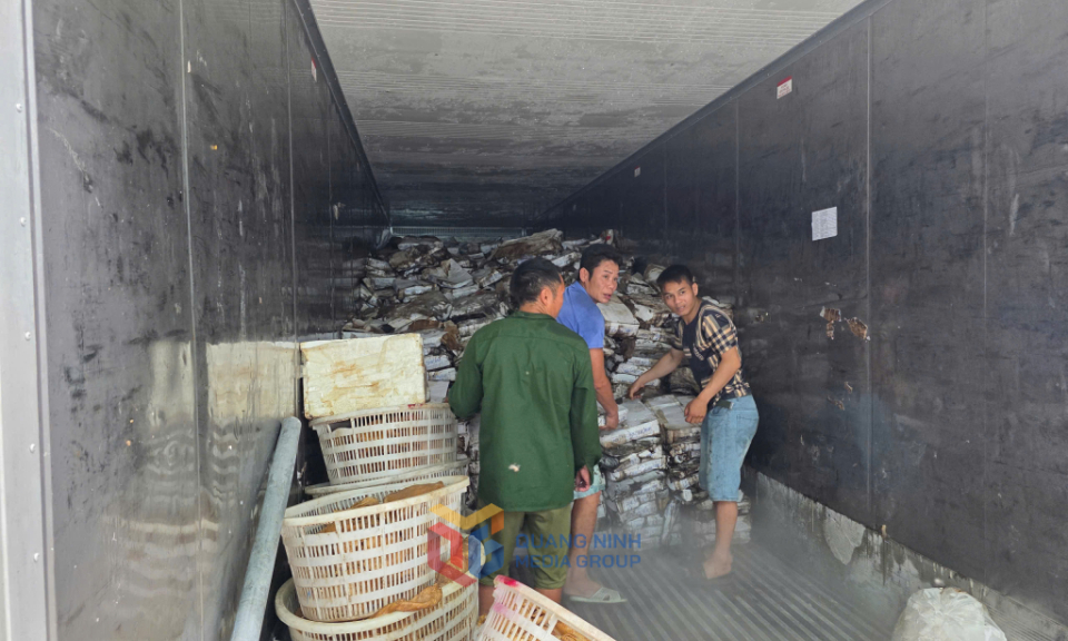 Thu giữ hơn 25 tấn thực phẩm đông lạnh đang bốc mùi, không rõ nguồn gốc tại Móng Cái