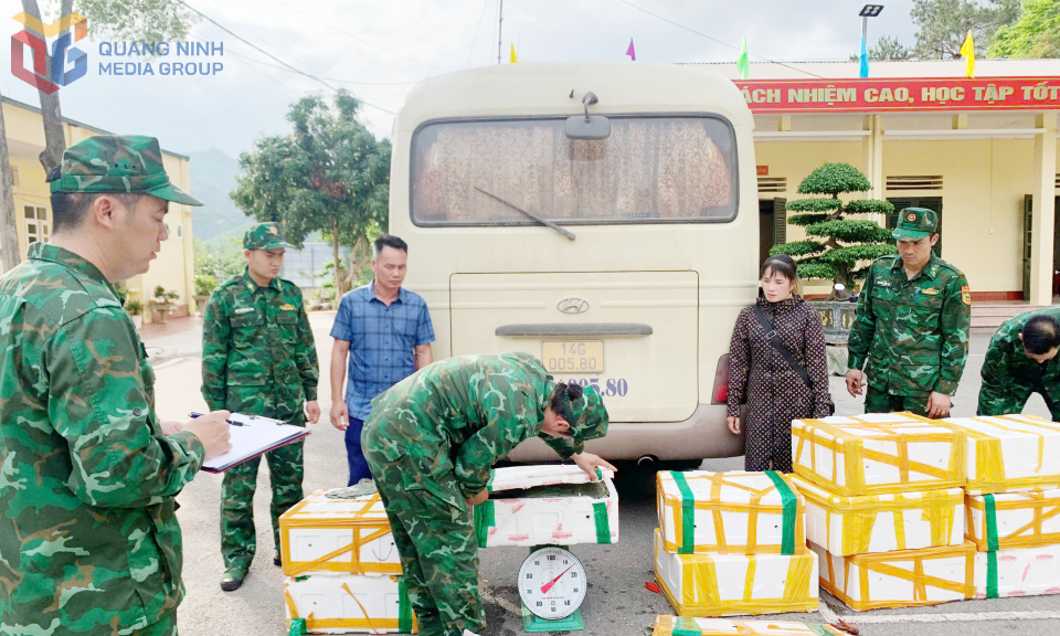 Hiệu quả công tác phối hợp trong phòng chống BLGLTM