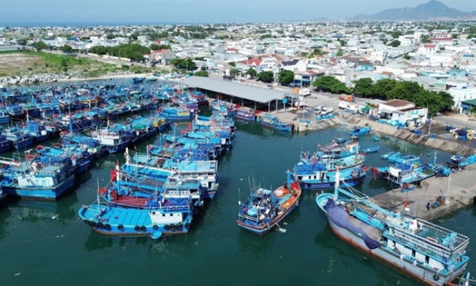 Deputy PM calls for stronger coordination for marine economy
