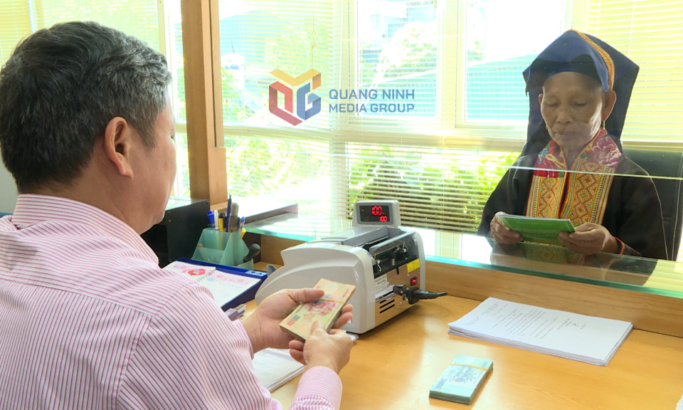 Ba Chẽ hướng tới mục tiêu trở thành trung tâm kinh tế lâm nghiệp và cây dược liệu