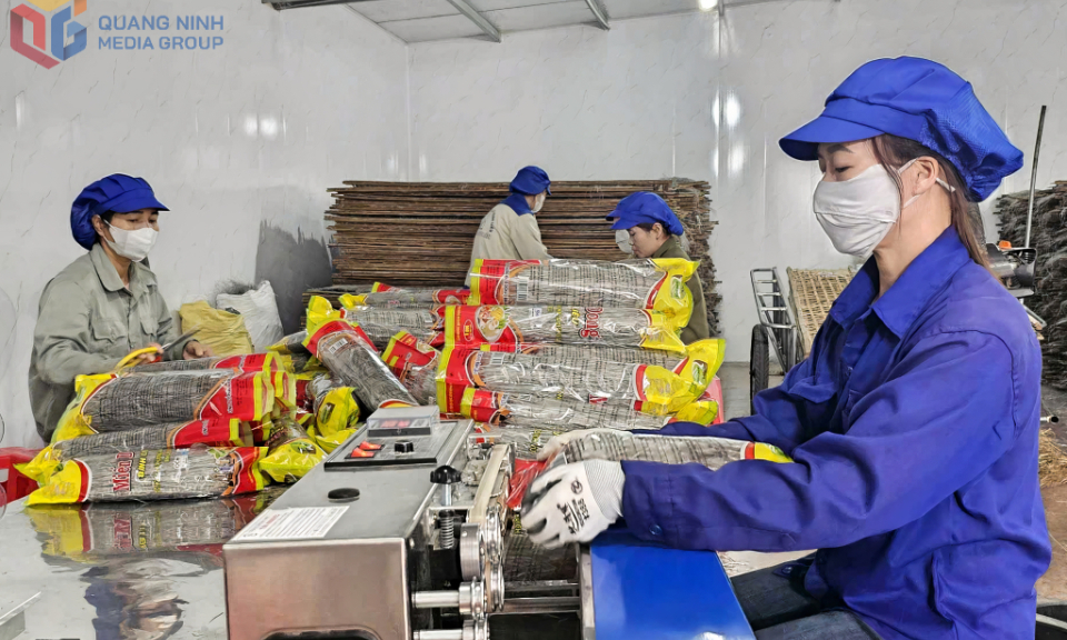 Gia tăng giá trị cho nông sản
