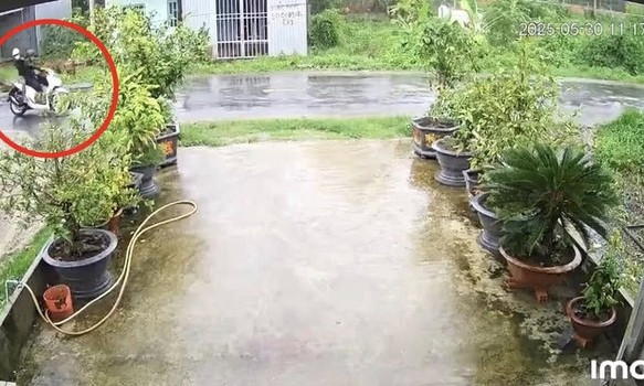 Cây phượng ngã đổ làm đứt dây điện, khiến 2 người bị điện giật tử vong